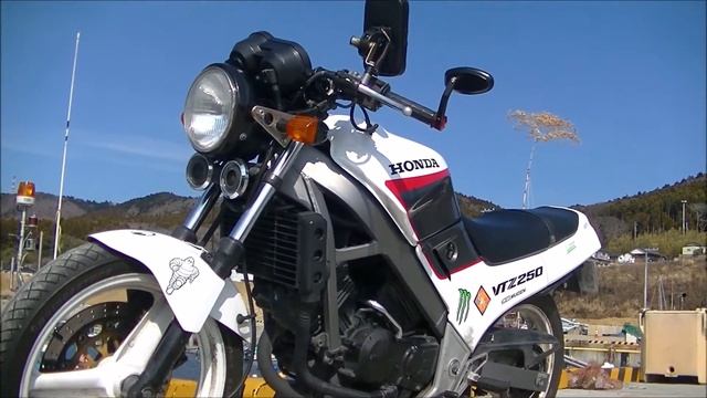 HONDA VTZ250