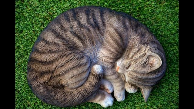 Музыка для сна без рекламы и слов Music For Sleep Without Ads And Words