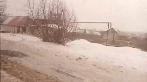 Поездка на автобусе маз 103. Маршрут 315