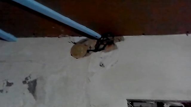 ПОТОЛОК СВОИМИ РУКАМИ.СОЛНЦЕ ИЗ ПЕНОПОЛИСТЕРОЛА,ПЕНОПЛАСТА смотреть онлайн