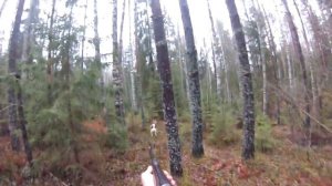 Охота на Рысь с лайками Хороший Трофей 🏆