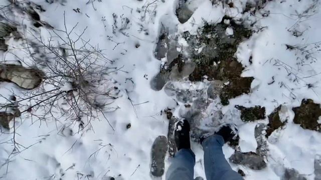 ГЕЛЕНДЖИК! ЦВЕТУЩИЙ МИНДАЛЬ НА СНЕГУ! НЕ ПОВЕЗЛО... смотреть онлайн