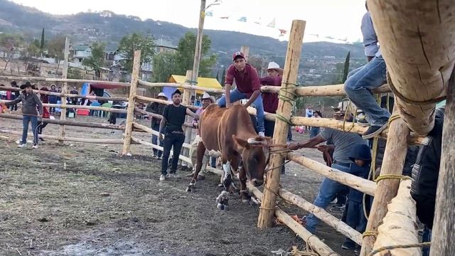 Carnaval 2023 En Loma Redonda San Juan Mixtepec Parte 1