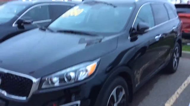 2017 Kia Sorento EX Turbo for Matt @ Georgetown Kia смотреть онлайн