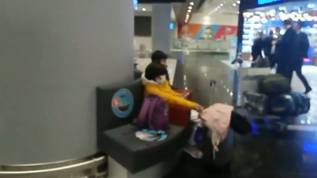 49. 18-й день. Турция. Регистрация в аэропорту Стамбул (Новый)