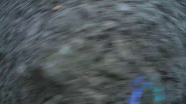 А огород то выстрелил, я доволен смотреть онлайн