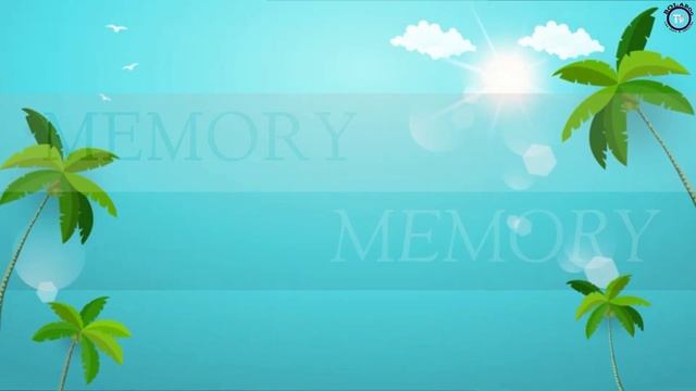 Oppo reno 8 Pro vs Xiaomi 12 Pro vs Samsung galaxy S21 Ultra смотреть онлайн