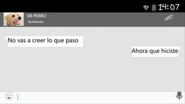 Si mi perro tuviera wasap смотреть онлайн