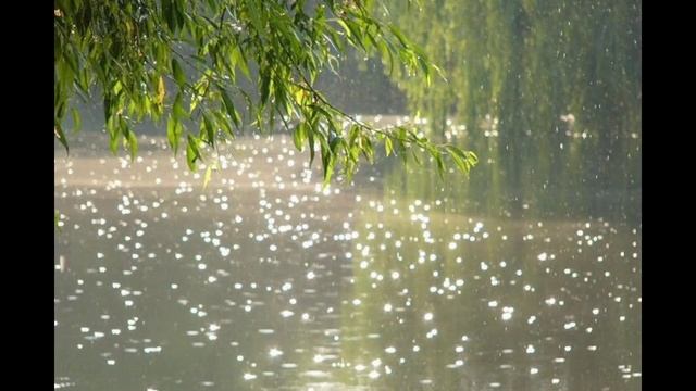 Музыка исцеления души и тела под звуки воды•дождя Лучшее на Сегодня #rain #music #relax #meditation смотреть онлайн