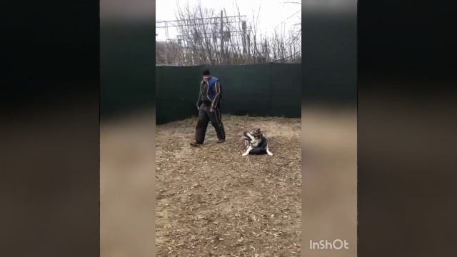 Веолар Сократ ? смотреть онлайн