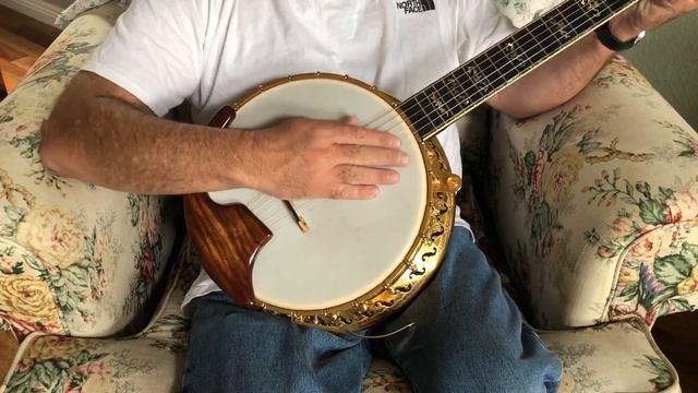 Dale Small 6 String Guitar Banjo (Banjitar) for Sale смотреть онлайн