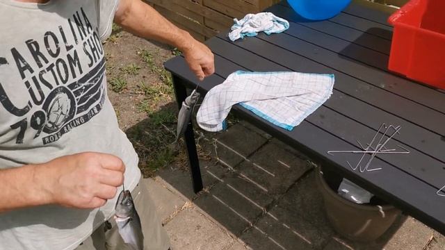 HOW TO MAKE DIY SMOKE MACKEREL FISH! / Rosa Johansen смотреть онлайн