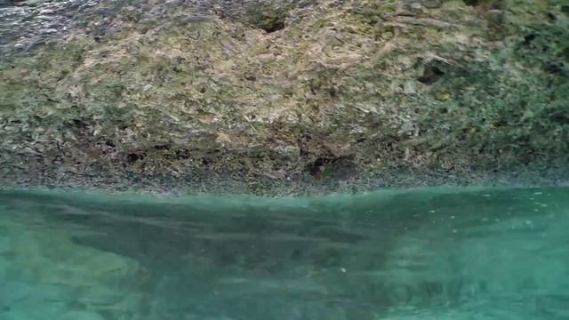 Русские в Круизе #11 - Сувениры, Краб и Кокосы на Каймановых Островах смотреть онлайн