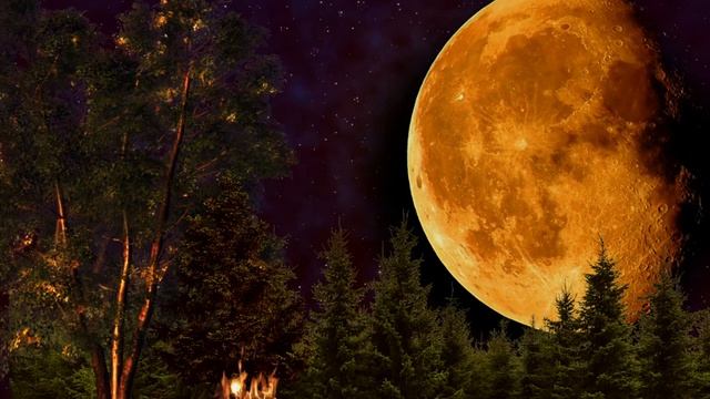 луна ночь костёр смотреть онлайн