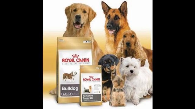 guabi natural корм для собакvimperor ru 141006205034d868074efa3d8eb3 смотреть онлайн