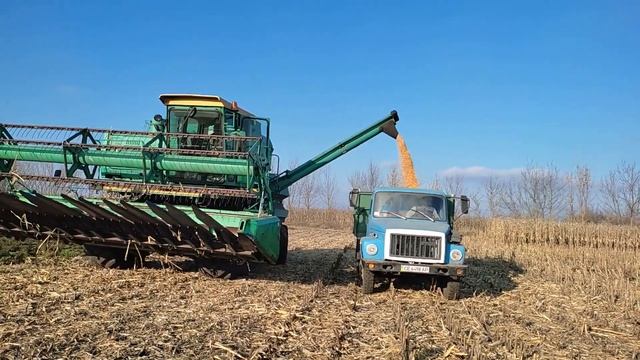 Уборка кукурузи 2021. Зерновой жаткой Дон 1500 Б смотреть онлайн