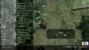 SKYRIM Скрытый сундук возле Солитьюда