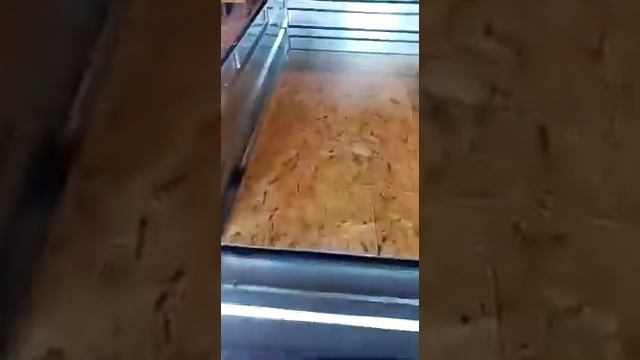 видеоотзыв о прицепе Титан из г. Златоуст смотреть онлайн