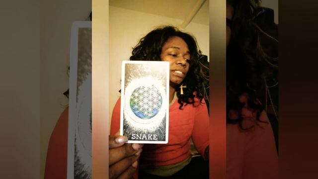 Unboxing "The wild unknown ANIMAL SPIRIT" deck + pick a card смотреть онлайн