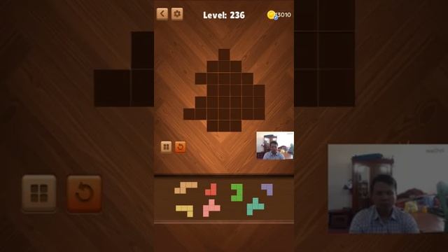 Jigsaw Wood Block Puzzle - Puzz Block Level 231 - 240 Walkthrough