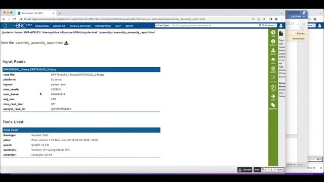 Comprehensive Genome Analysis Service смотреть онлайн