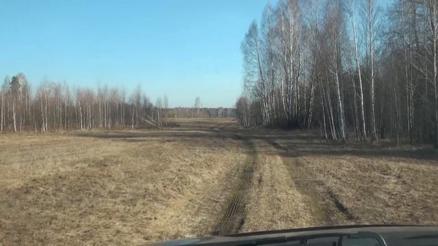 Лось чуть не залез ко мне на дерево! Весенняя охота на медведя на солонцах. смотреть онлайн