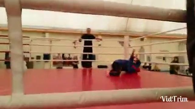 Соревнования по дзюдо смотреть онлайн