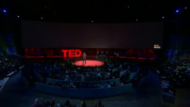 The first 21 days of a bee’s life | Anand Varma смотреть онлайн