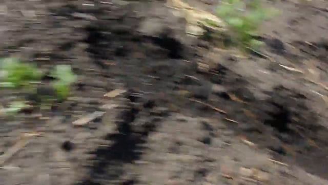 Спорт и Физическая Активность