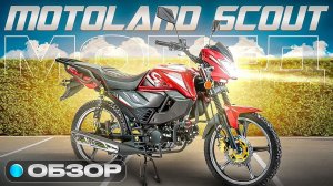 Мопед Motoland Scout обзор. Лучшая Альфа в истории