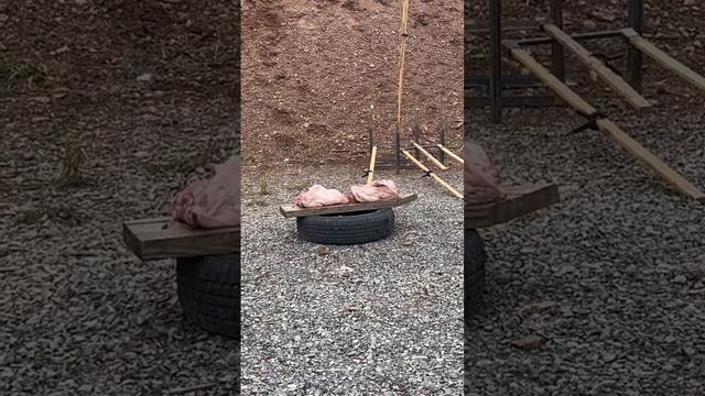 .308 vs meat and bone #hunting смотреть онлайн