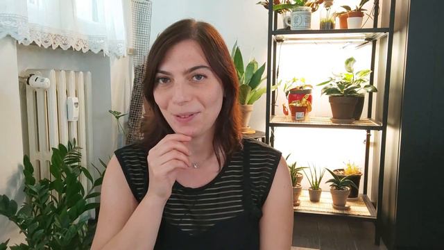 Piante Preferite Dell'estate + Consigli Su Alocasia Black Velvet