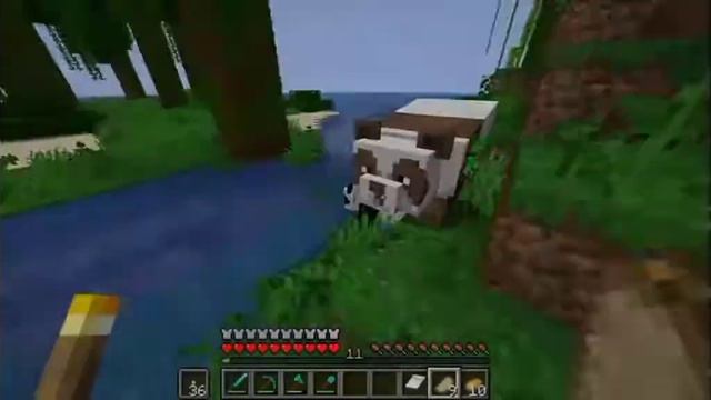 Новая песня Коричневая Панда🐼 смотреть онлайн