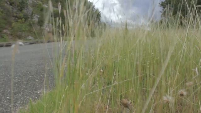 Meet the 2018 Suzuki Baleno! смотреть онлайн