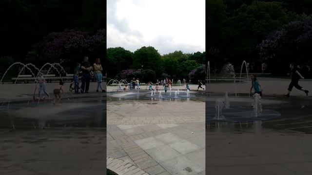 Cиpeнeвый Caд (май 2015)