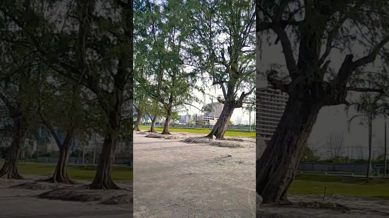 Пляж Отрес. Сиануквиль , Камбоджа смотреть онлайн