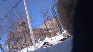 Мартовские песни котов.  March songs of cats.