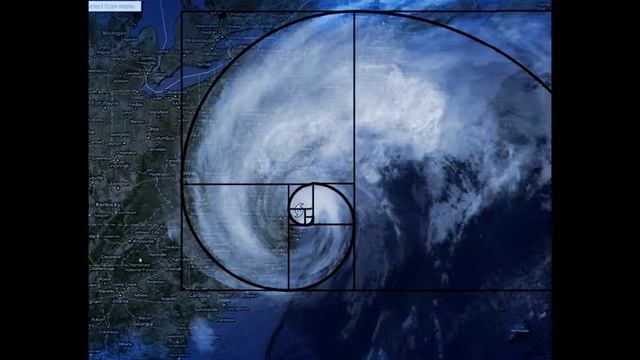 Digital Gallery Presentation Fibonacci sequence. смотреть онлайн