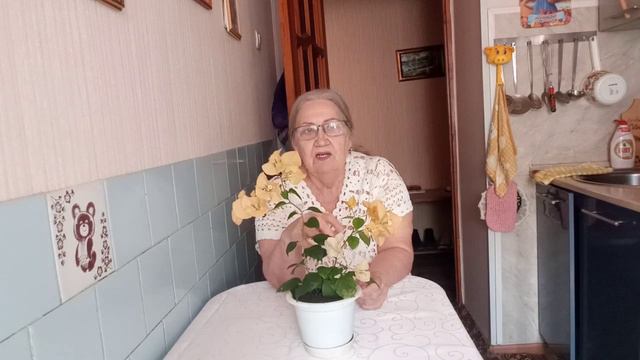 Цветок редкий _ Домашние цветы _Цветы для радости