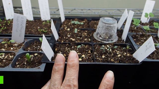 March Growroom Update смотреть онлайн