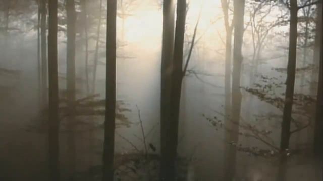 Православные стихи «Осень жизни» смотреть онлайн