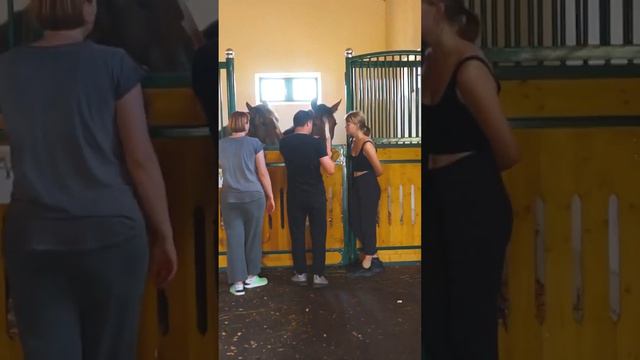 Выезд ветеринара на дом