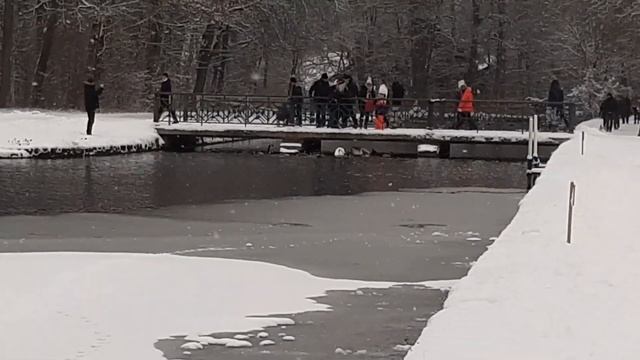 Шлосспарк Нимфенбург в снегу Мюнхен ? Schlosspark Nymphenburg im Schnee. Munchen ? смотреть онлайн