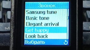 Samsung SGH-B300 Обзор