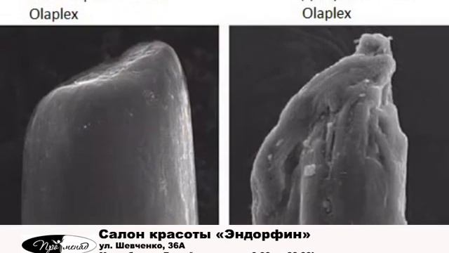 Салон Эндорфин Днепр смотреть онлайн