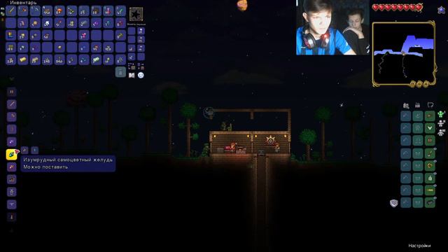 | Terraria | выживание в akspert mod смотреть онлайн