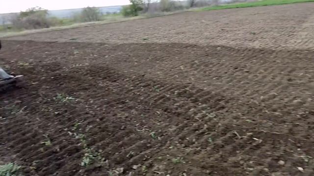 Обработка почвы мотоблоком с катком смотреть онлайн