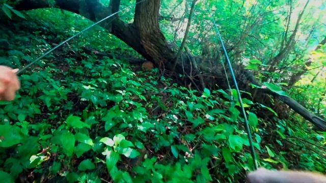 В поисках ключей (Ливадия-Серебряные Пруды-Курбатово, 24.06.2020) смотреть онлайн