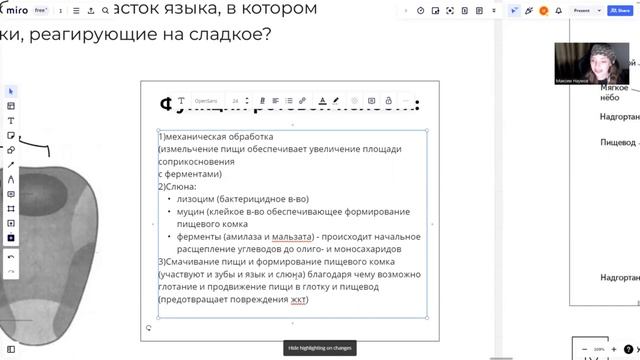 АНАТОМИЯ ЕГЭ ПО БИОЛОГИИ / НОО смотреть онлайн