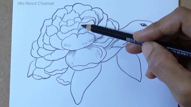 How to Draw Sea Turtle with a Flower | Pencil Drawing смотреть онлайн